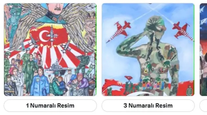 'Kahramanım Mehmetçik ve Vatan' resim yarışması halk oylamasına açıldı