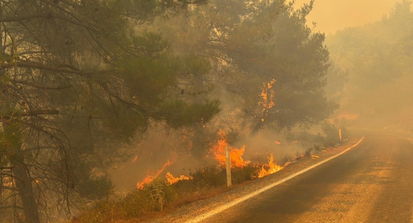Orman yangınıyla ilgili 12 şüpheli tutuklandı