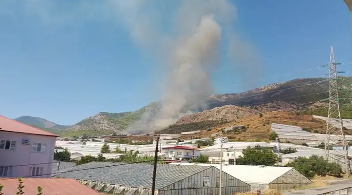 Mersin’de orman yangını