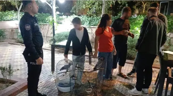 Belgesiz Afrika gri papağanı satışına 30 bin TL ceza