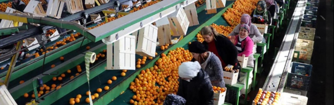 Türkiye ihracatında 9 ayda 211 milyar dolarlık rekor